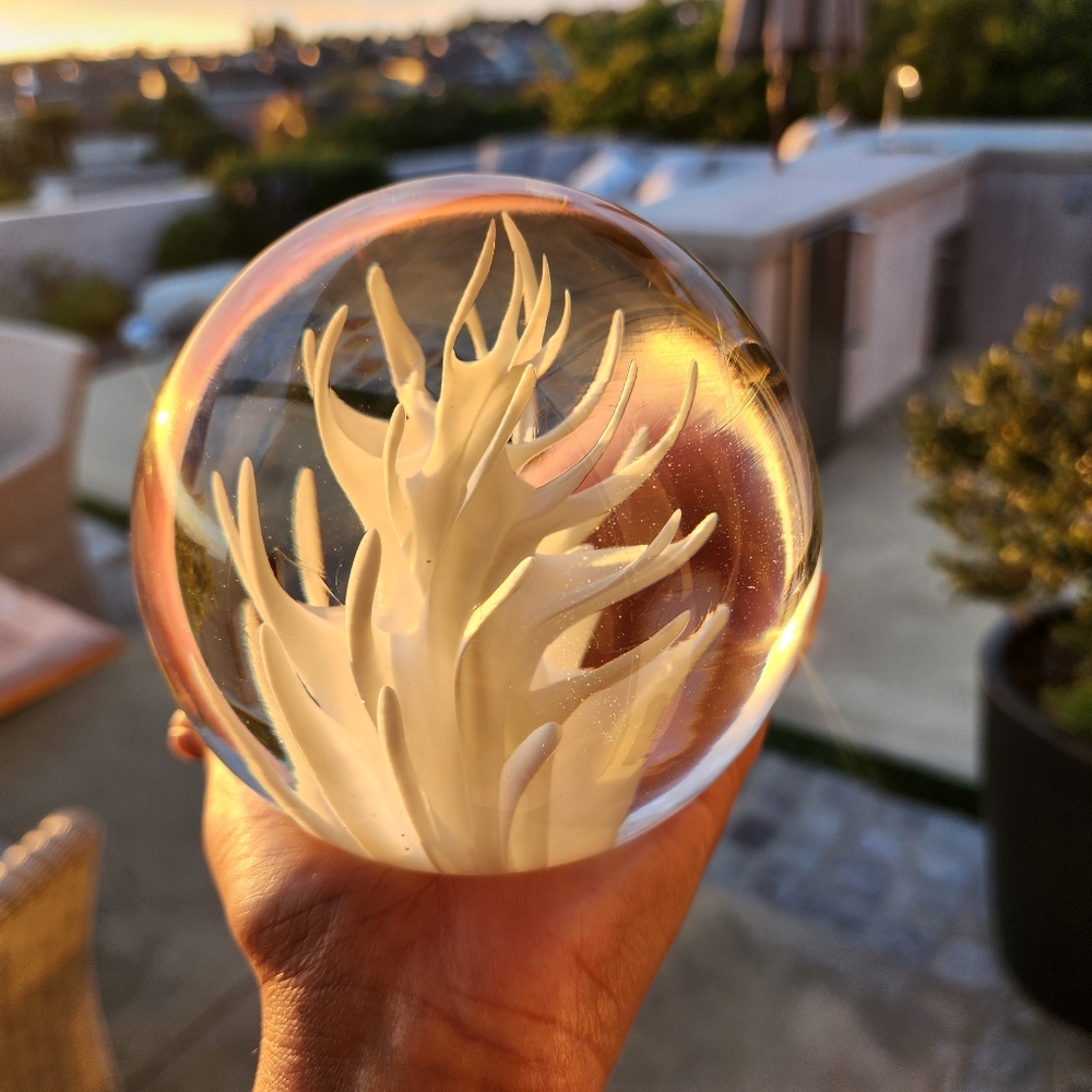 Licio Zanetti signed Murano Glass Paperweight HTF